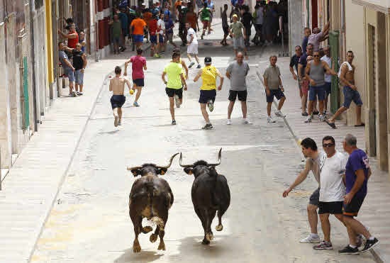 Bous al carrer en Silla.