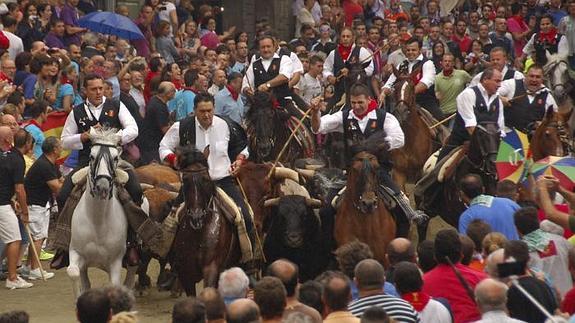 Toros y caballos vuelven a protagonizar su tradicional entrada en Segorbe