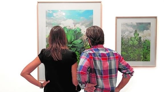 ¿Cómo identificar a un coleccionista de arte?