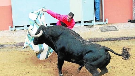 El Consell y las peñas ya trabajan para reforzar la seguridad en los bous