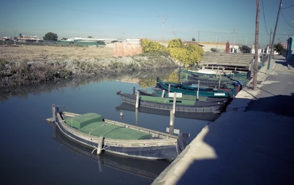 Barcas varadas en el muelle del canal de El Tremolar, que comunica Valencia con la Albufera.  :: 
