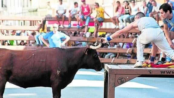 Un aficionado sujeta el asta del toro durante los festejos de los bous al carrer.