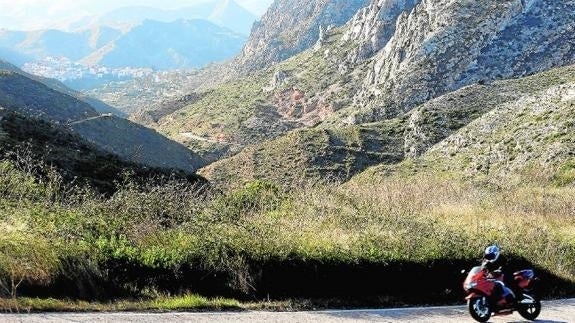 Fue el pueblo más dañado por el fuego de Cortes. El matorral cubre sus estribaciones, pero el arbolado no se ha regenerado.