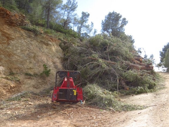 Una de las máquinas arranca uno de los pinos. :: lp