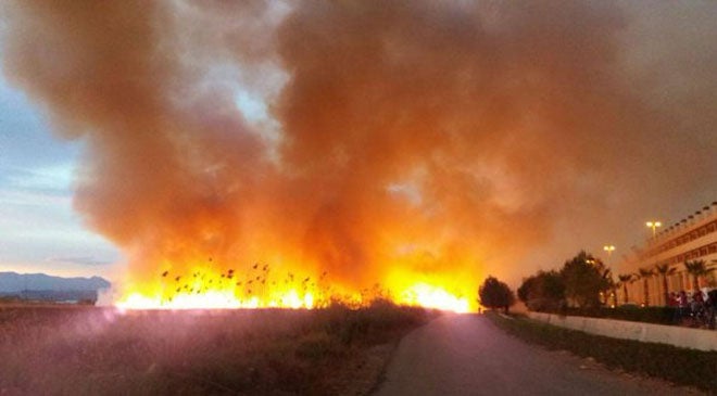 Desalojan a 500 personas de un camping en Almenara por la proximidad de un incendio