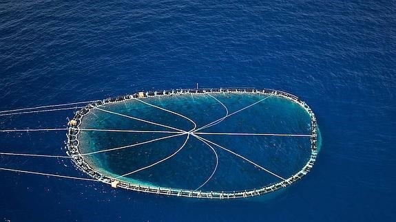 Prohibida la pesca de arrastre de fondo en varias zonas de la Comunitat