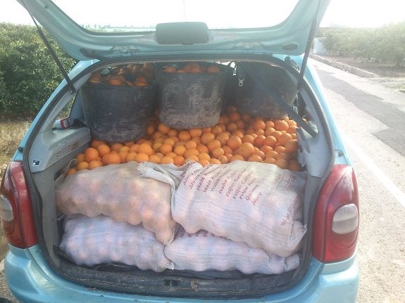 Un coche repleto de naranjas robadas en un campo. La foto fue tomada tras ser detenidos los ladrones por la policía. :: lp