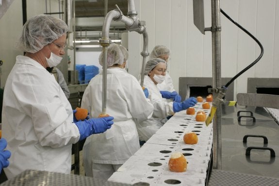 La heladera valenciana Ice Cream Factory supera los 100 millones de facturación