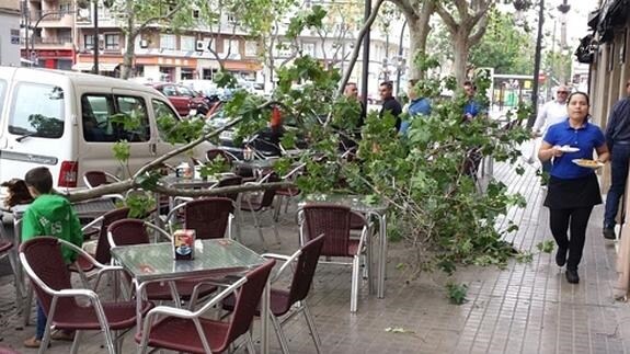 Una rama cae sobre una terraza en Valencia