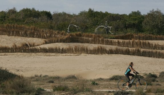 El PP afirma que el Ayuntamiento desconectará las cámaras de detección de incendios en El Saler