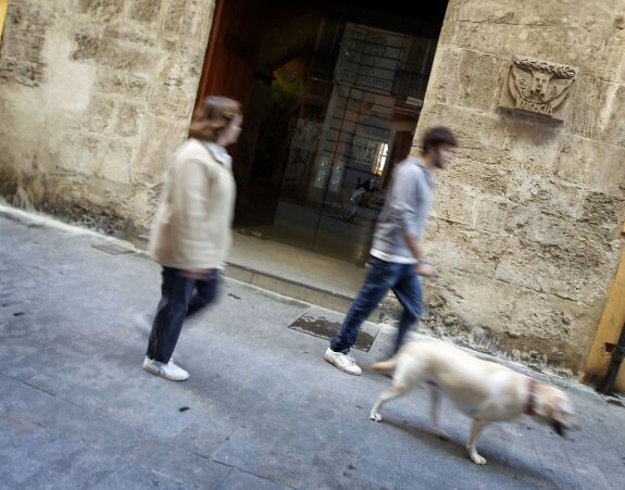 Un joven pasea a su perro por el centro de Valencia. :: txema rodríguez