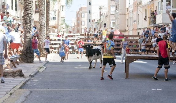 Una veintena de municipios valencianos han eliminado los festejos taurinos en el último año