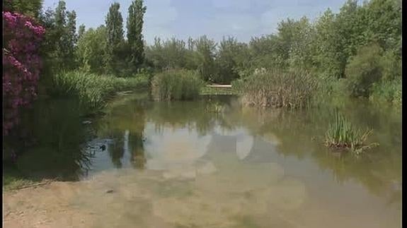 Un espacio verde de más de 14 hectáreas que es un pequeño oasis de agua y vegetación dentro de la ciudad.