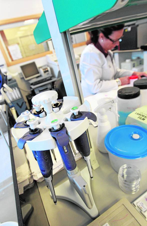 Una investigadora, en el laboratorio de Fisabio.