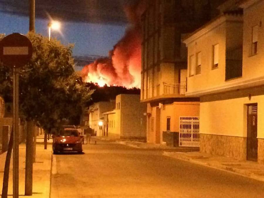 Incendio forestal cerca de Chella.