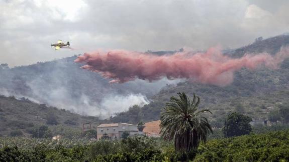 Labores de extinción del fuego. 