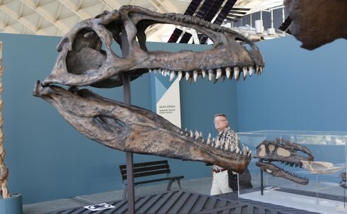 La exposición reúne más de 600 fósiles de dinosaurios. :: j. monzó