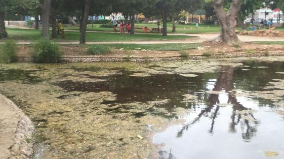 La suciedad invade el lago del parque de Nova Canet