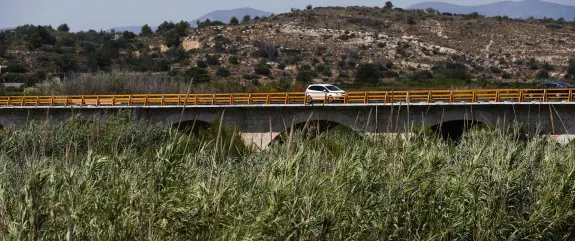 Turia.  Cañaverales en  el cauce del río  y maleza. :: j. monzó