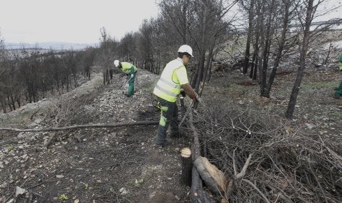 Dos operarios, en una zona quemada en Casinos. :: j. monzo