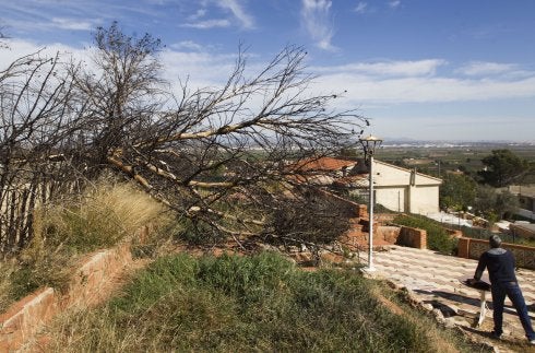 Zona forestal susceptible de incendio cerca de una vivienda. :: lp