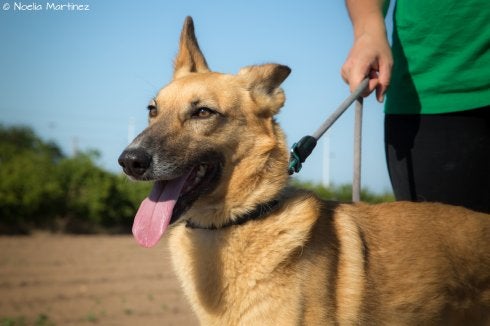 Lanzado y abandonado