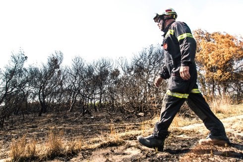 Un agente, tras un incendio en El Saler. :: j. montañana