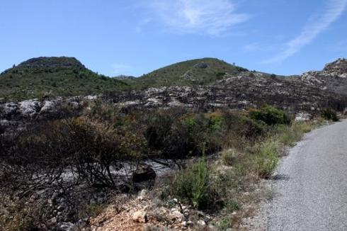 Una pista forestal, a la derecha en la zona del Misserat :: lp