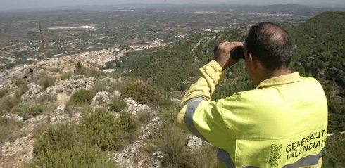 Un operario controlando una zona forestal. :: d.torres