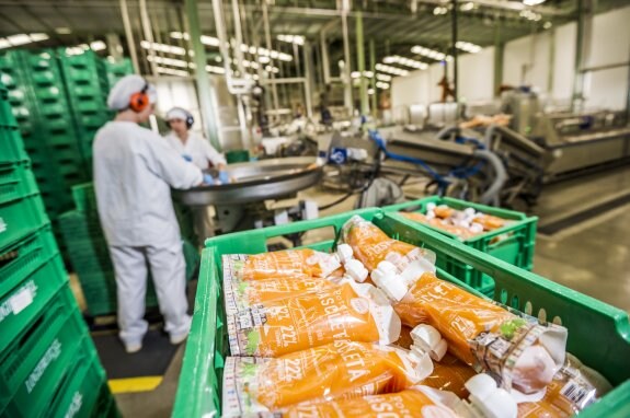 Trabajadores de Alnut, del Grupo Alimentario Citrus, en las instalaciones de la empresa en Carlet. :: lp