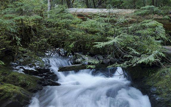 ¿Puedes encontrar a la mujer escondida en esta fotografía?