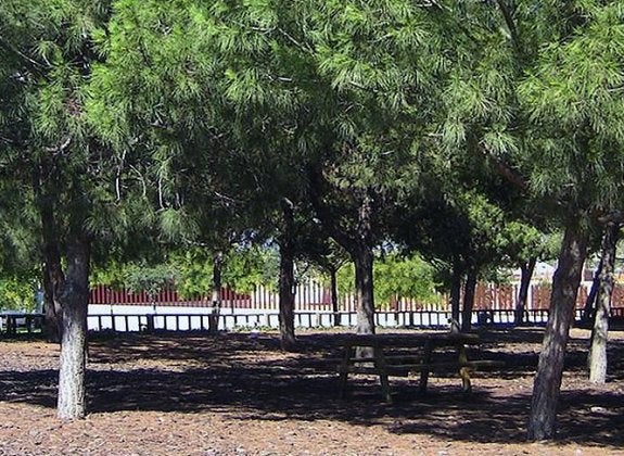 El parque de la zona de La Canaleta afectado por las plagas. :: lp