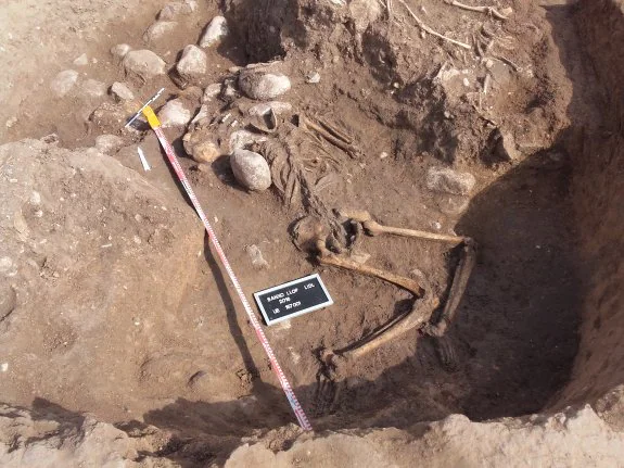 Restos óseos en las excavaciones de Sanxo Llop. :: J.  pascual