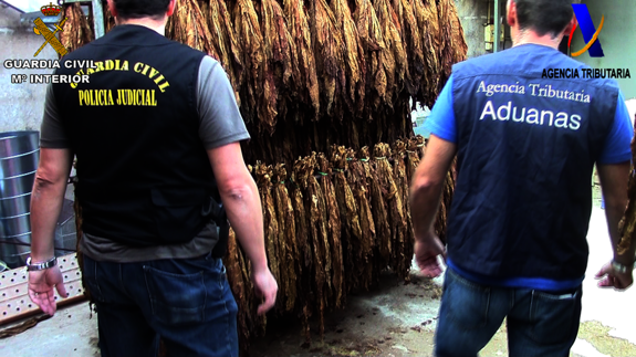 Los puros intervenidos. 