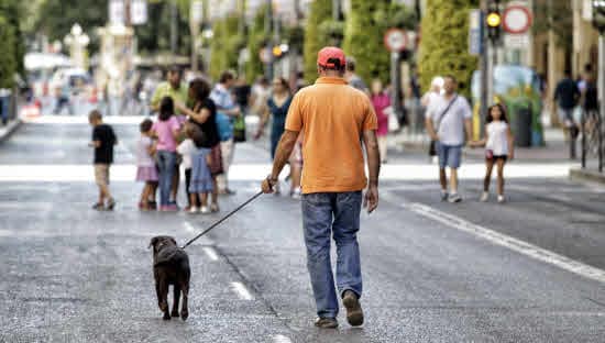 La 'patrulla canina' llega a Gandia