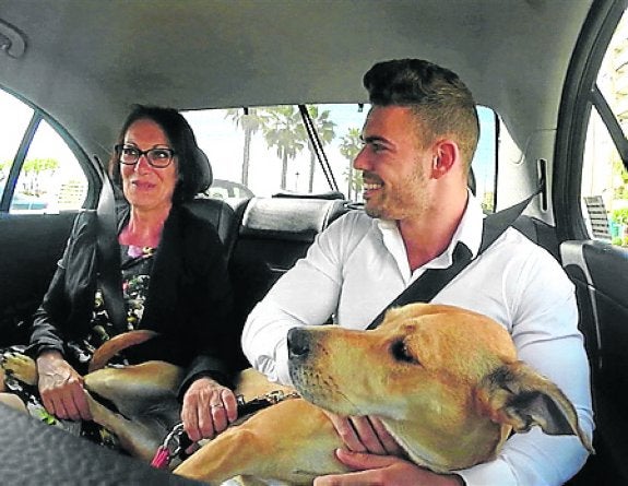 'Amores perros' (Cuatro): un programa de citas con mascotas