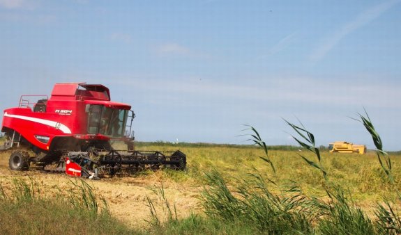 Una maquina recolectora durante la última campaña de la siega del arroz en la Marjal pegolina. :: B. O.