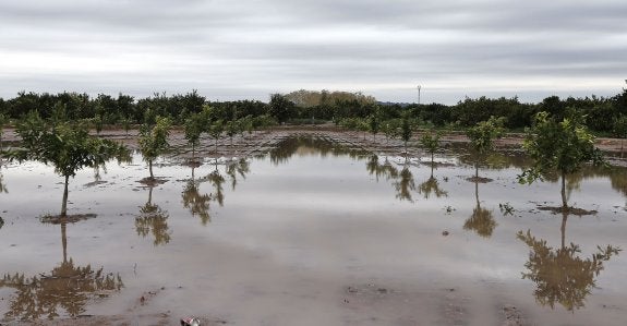  Campos anegados. Una parcela agraria de Benifaraig, totalmente inundada, el pasado martes, tras las intensas lluvias. :: EFE/Manuel Bruque