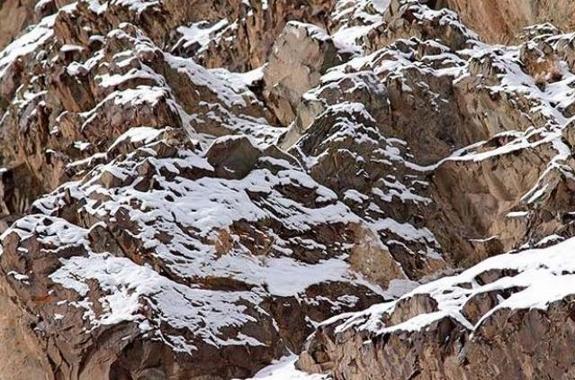 ¿Dónde está el leopardo de las nieves?