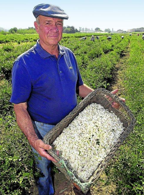 Joseph Mul sostiene un cesto con flores de jazmín, uno de los ingredientes junto a las rosas de mayo del Chanel Nº5. Su familia abastece a la marca desde 1921.