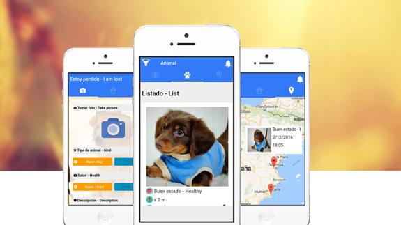 Una aplicación permite encontrar mascotas perdidas