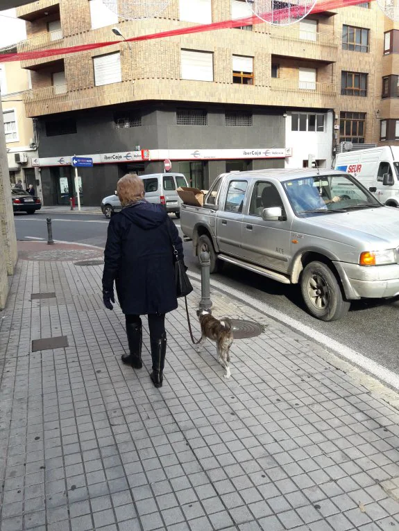 Una mujer pasea a su perro junto a la N-332 en Oliva. :: r. escrihuela