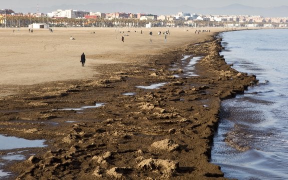 La orilla de la playa de la ciudad de Valencia, repleta de algas y otros restos, ayer. :: damián torres