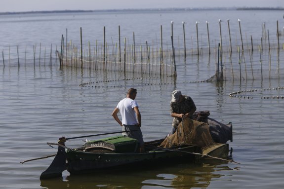 Dos pescadores, en plena faena en la Albufera. :: manuel molines