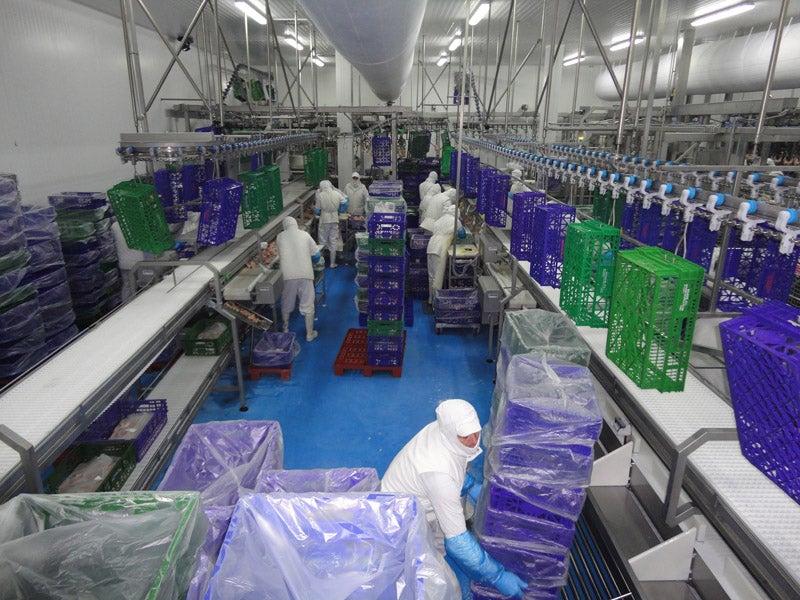 La empresa de pollos de Mercadona contratará a 200 personas