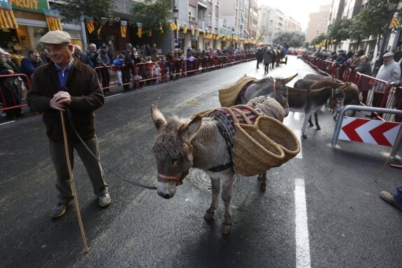 Grupo de burritos asistentes a la bendición de la calle Sagunto. :: jesús signes