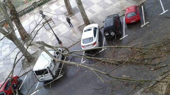 Emergencias recibe en 4 horas 121 llamadas relacionadas con el viento