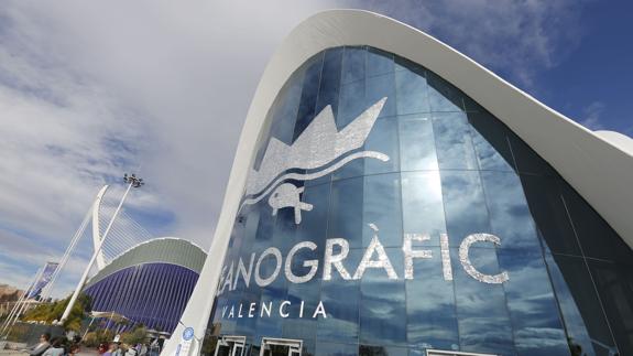 L'Oceanogràfic de Valencia bate récord de visitas con 61.000 personas en Semana Santa