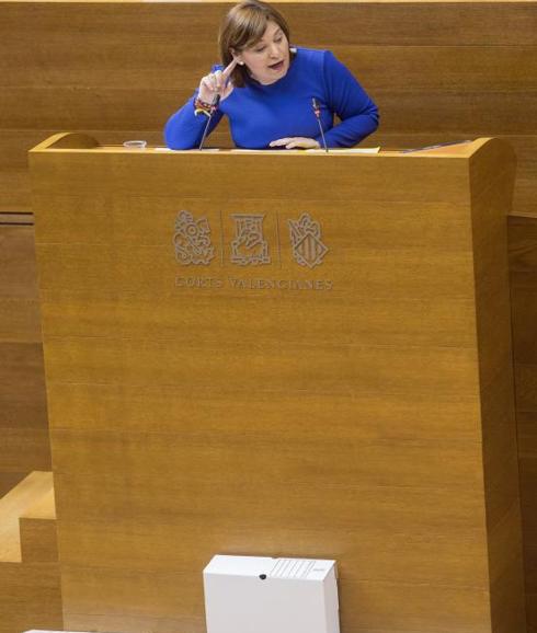 Bonig, durante el pleno de Les Corts. 