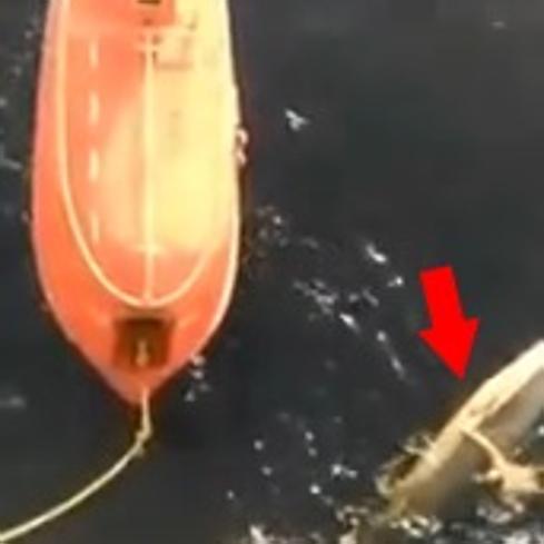 Un pescador salva a una ballena atrapada en una red